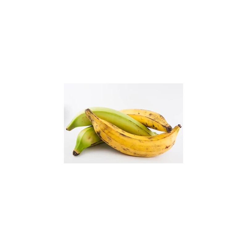 banane plantin isaimarket